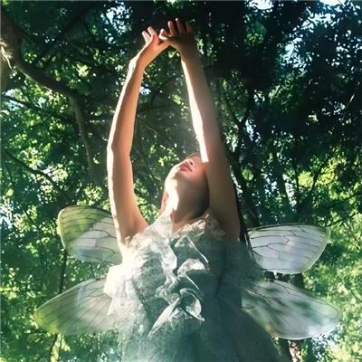 喜羊羊与灰太狼之遨游神秘洋